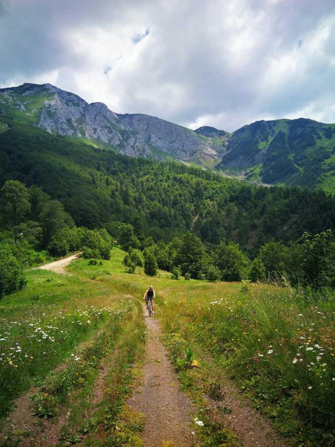 Chikma Apartments Sarajevo Eksteriør bilde